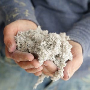 Fibre de cellulose 